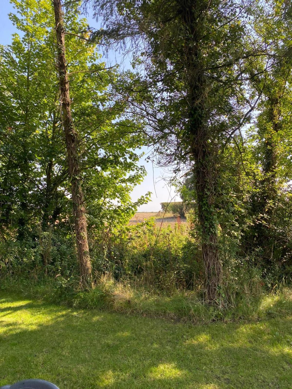 Kildare Countryside Pods Villa ภายนอก รูปภาพ